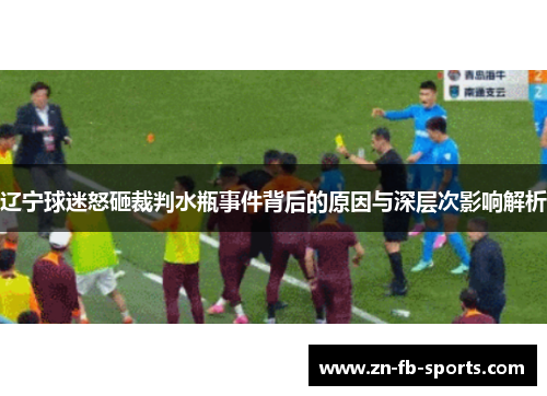 辽宁球迷怒砸裁判水瓶事件背后的原因与深层次影响解析