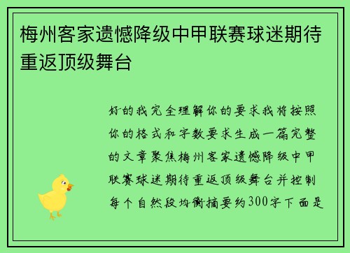 梅州客家遗憾降级中甲联赛球迷期待重返顶级舞台