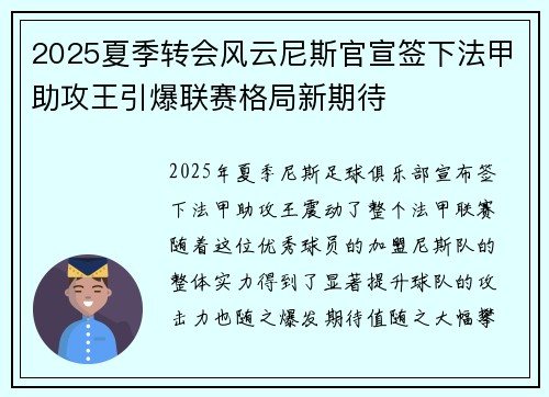 2025夏季转会风云尼斯官宣签下法甲助攻王引爆联赛格局新期待